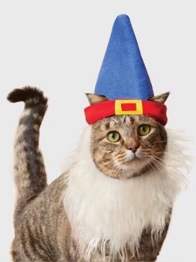 Boots & Barkley blue gnome cat headpiece costume red band and white beard nwt
